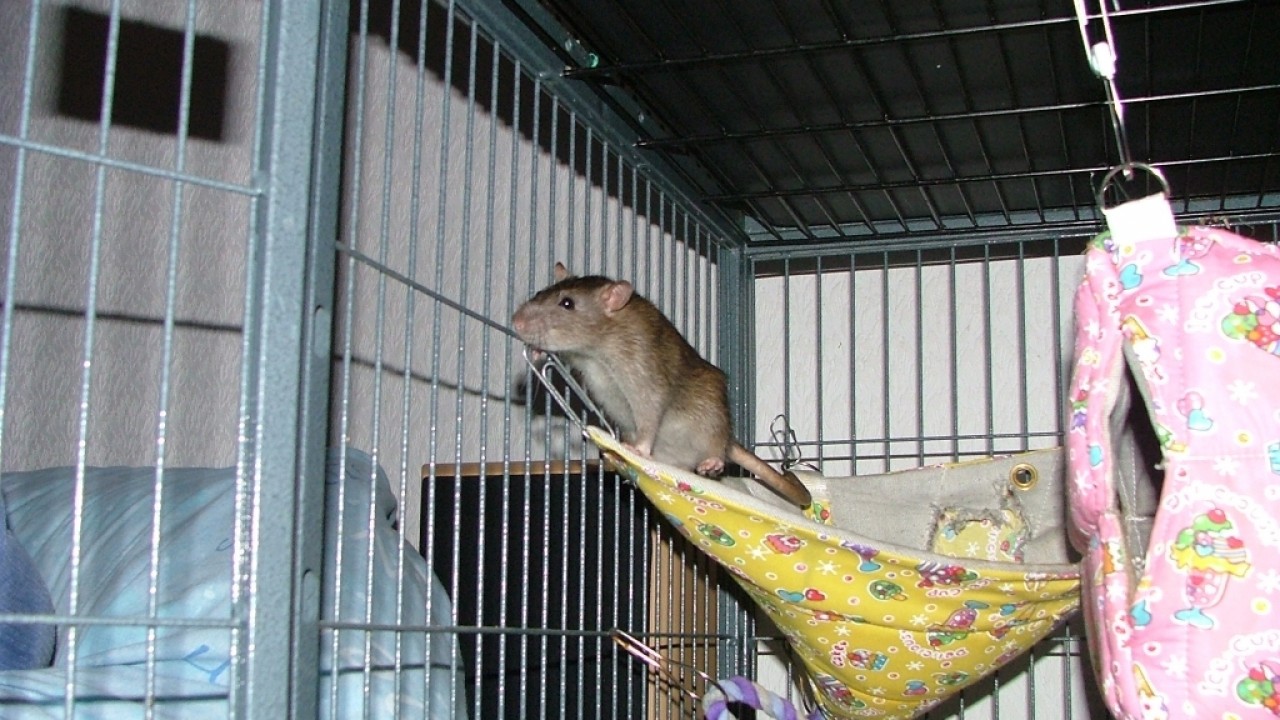 dscf5826.jpg