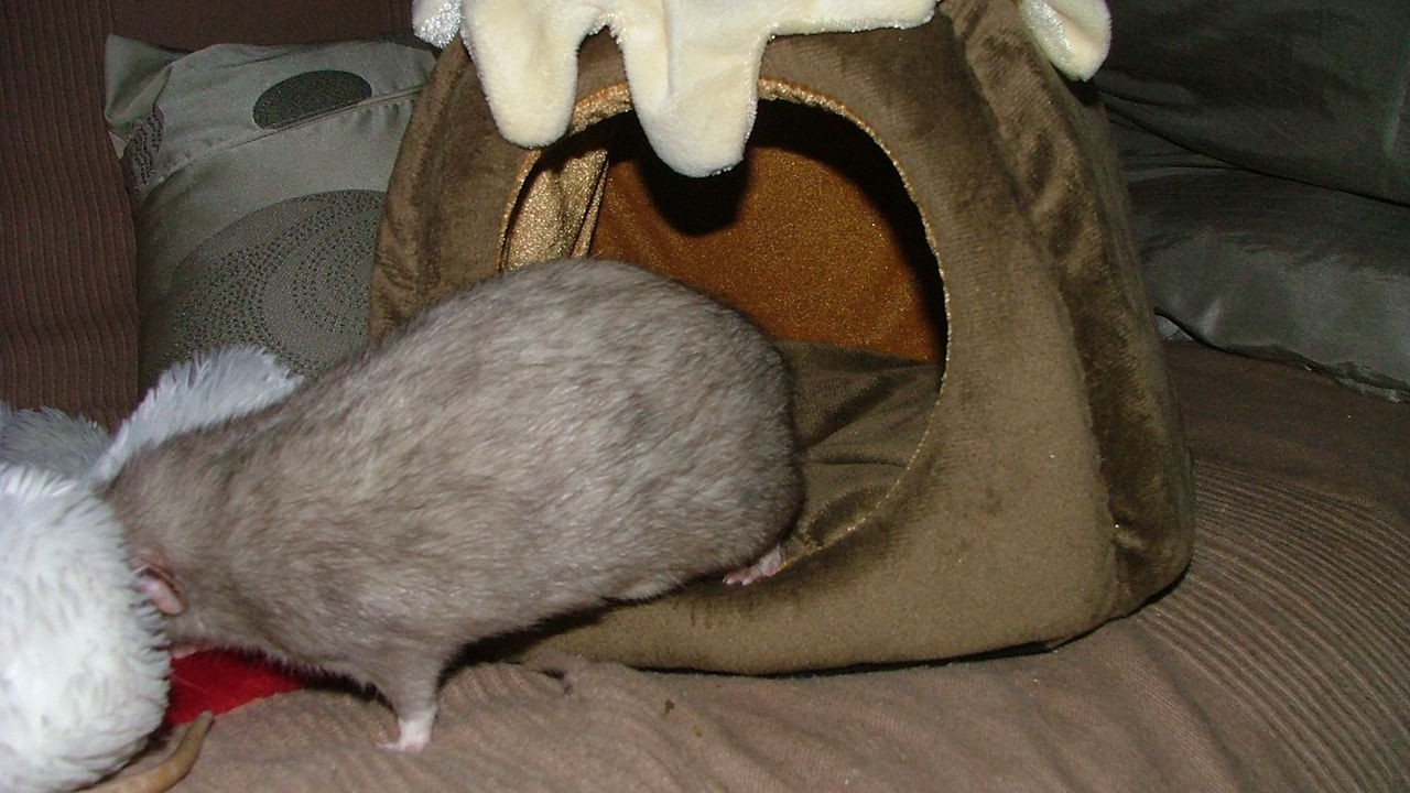 DSCF6717.JPG