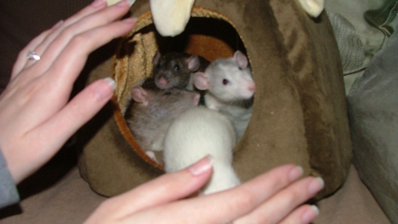 DSCF6705.JPG