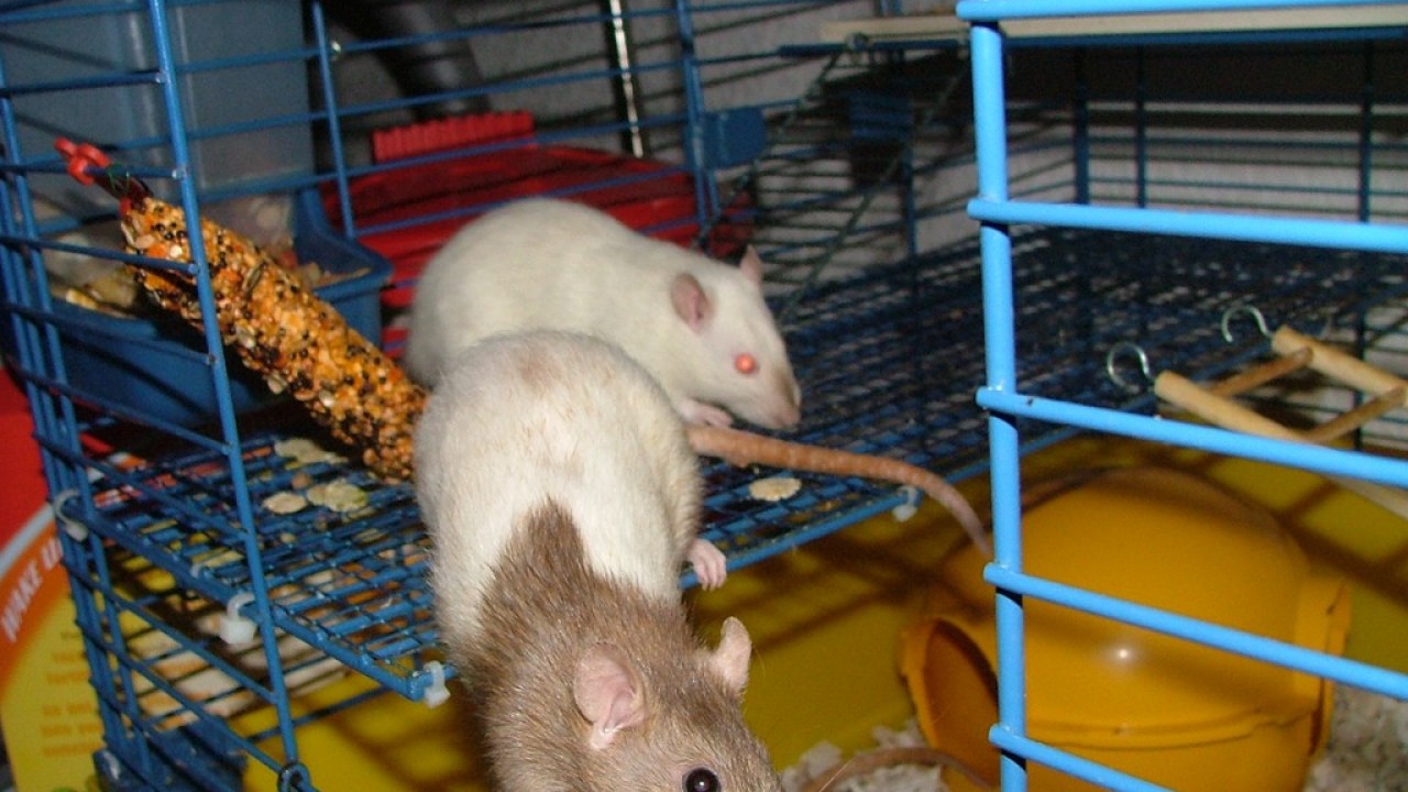 DSCF4104.JPG