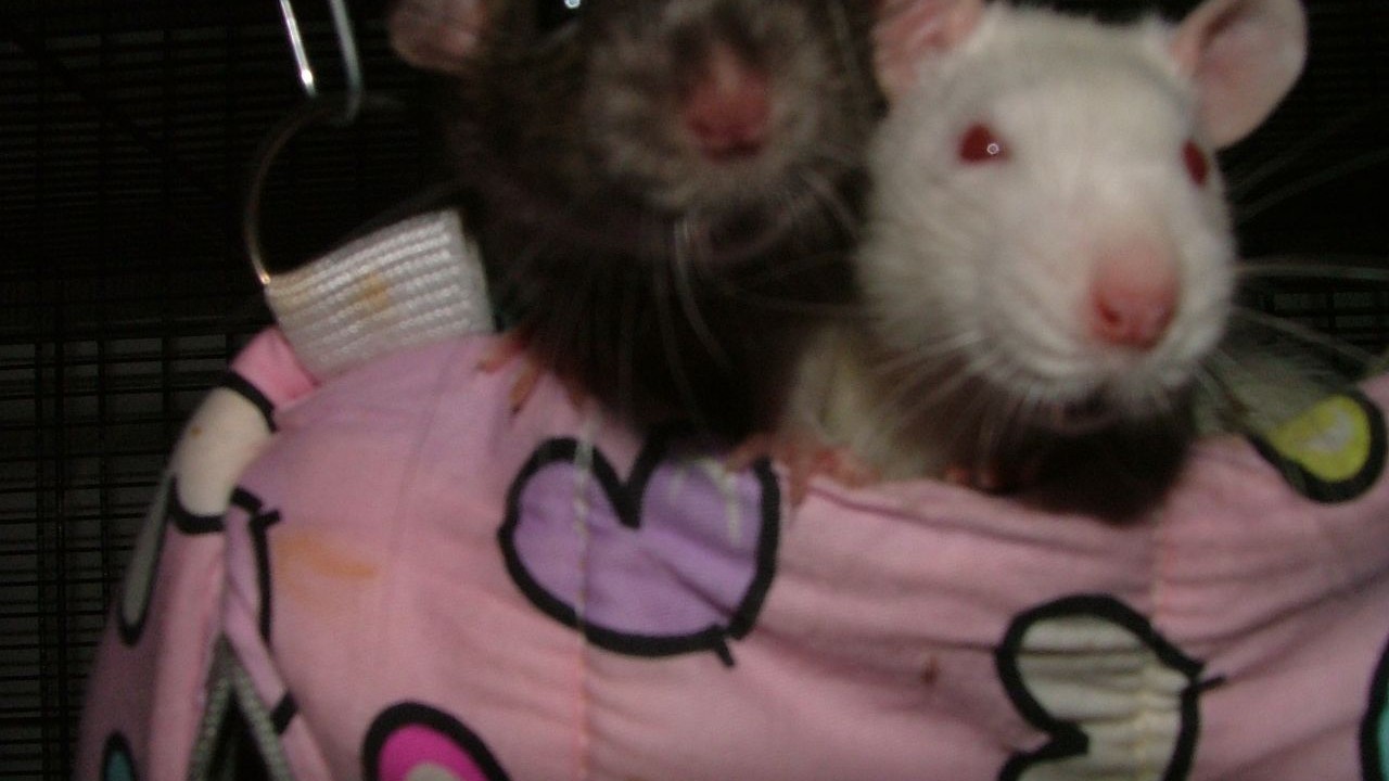 DSCF6690.JPG