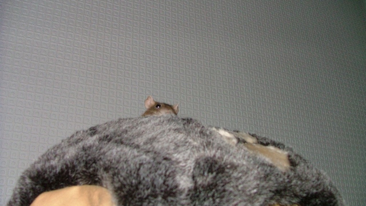 DSCF3942.JPG