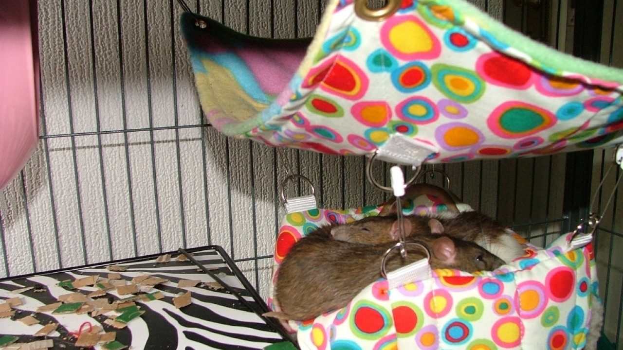 dscf6516.jpg
