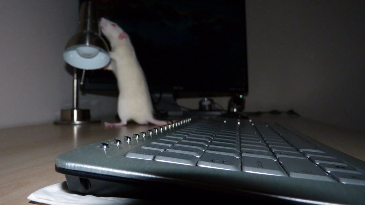 p1000887.jpg
