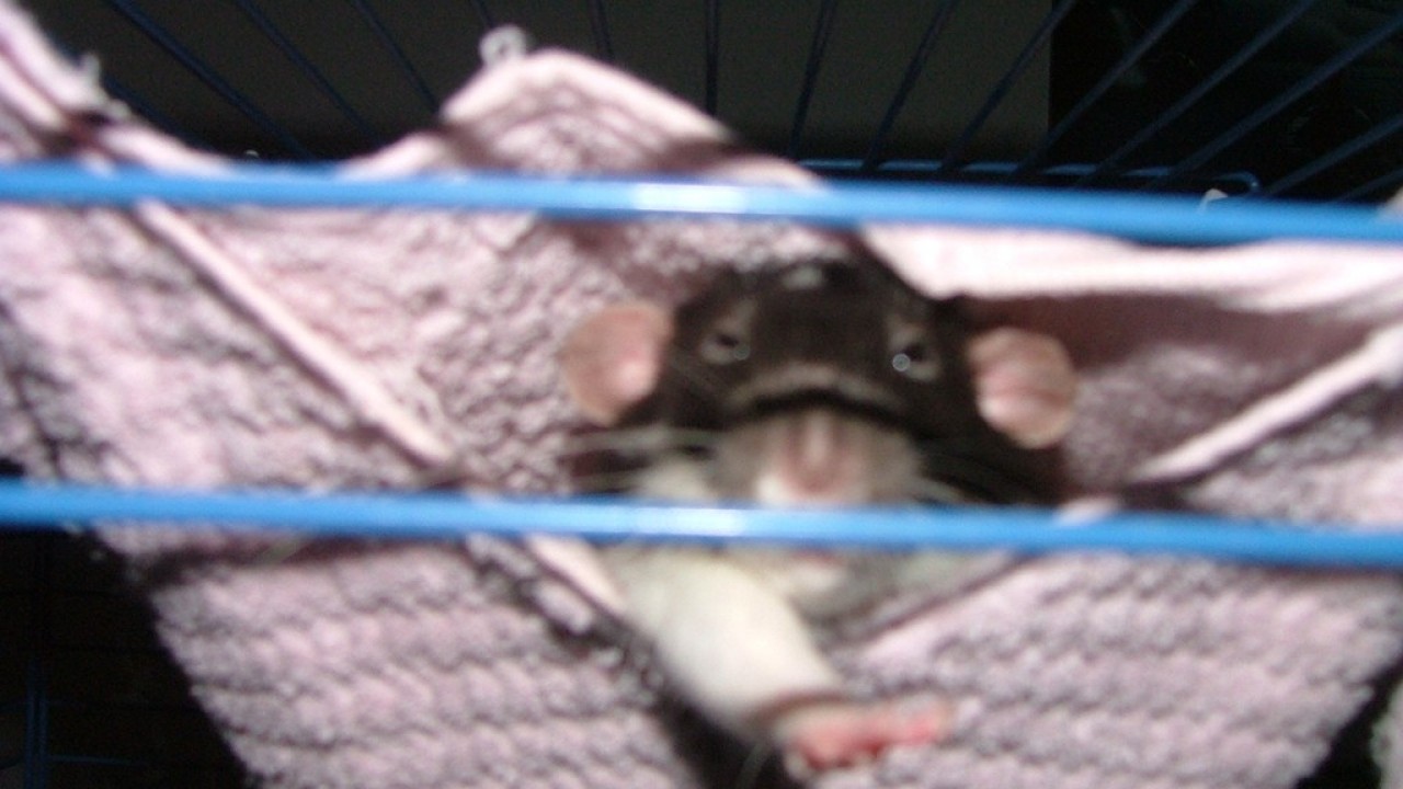 DSCF4123.JPG
