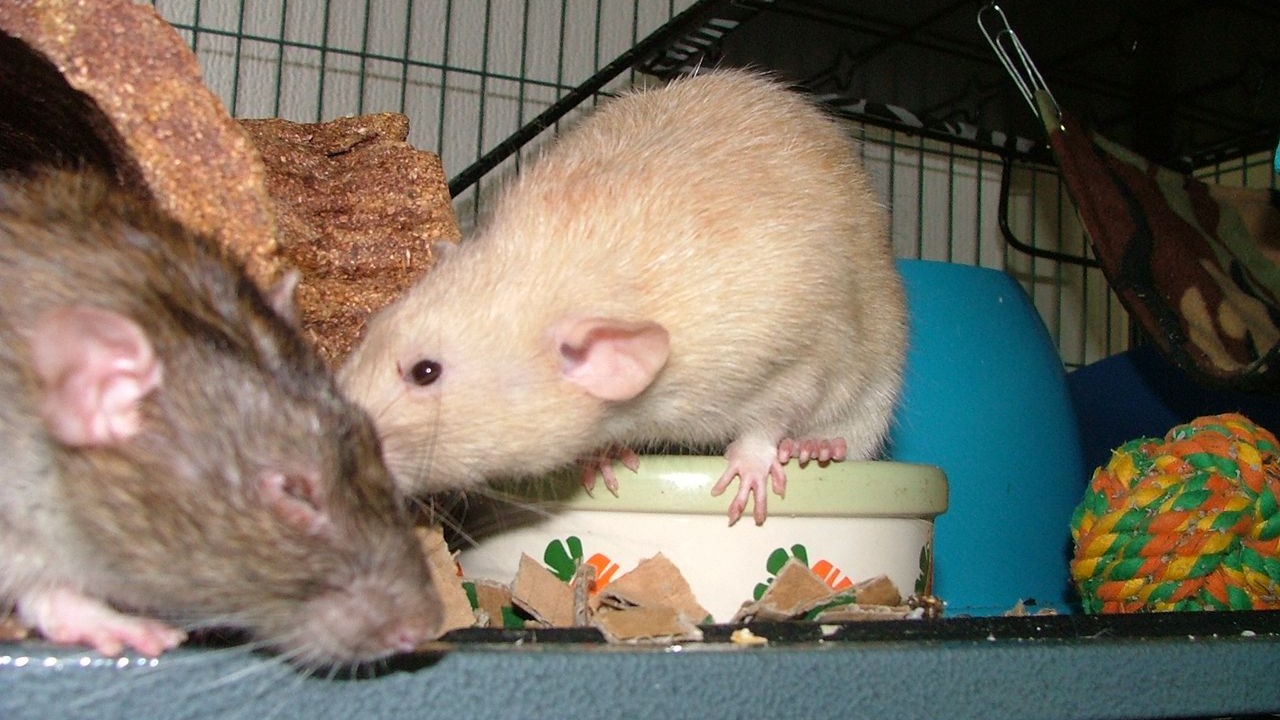 DSCF6517.JPG