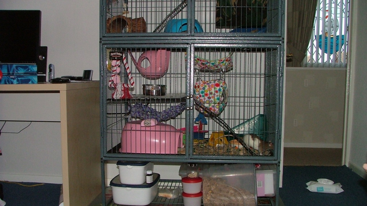 dscf6330.jpg