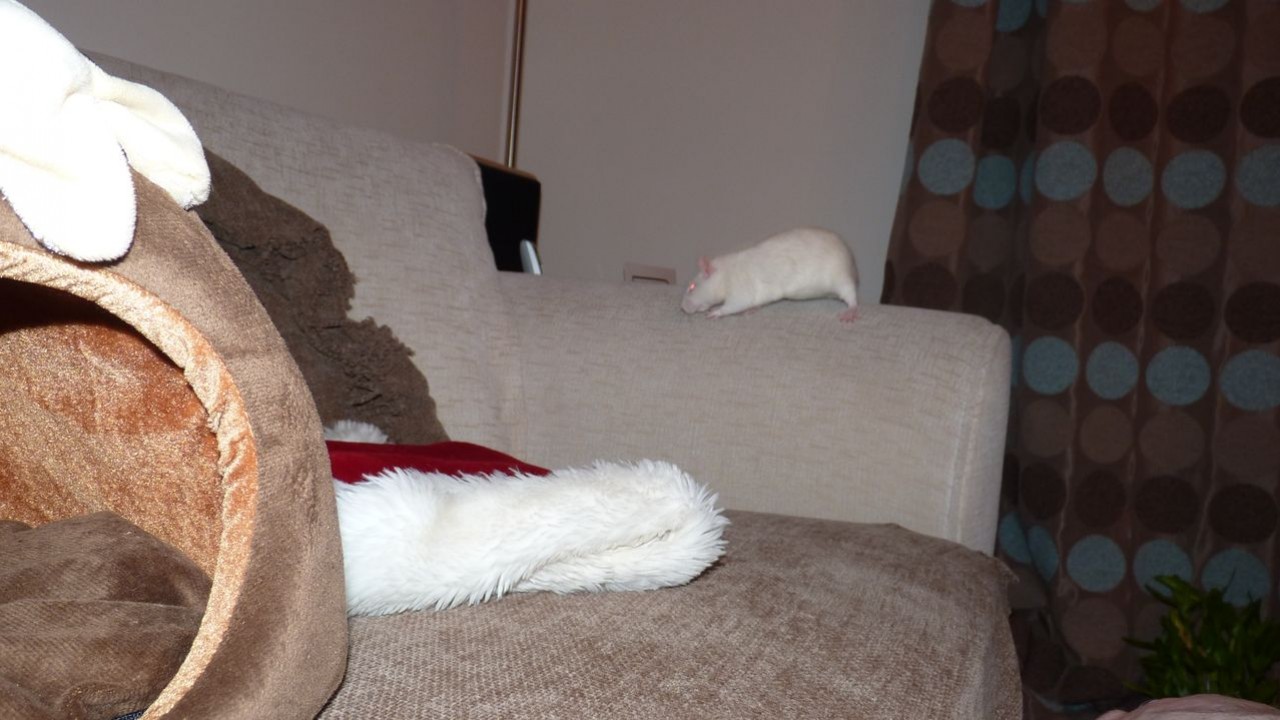 p1010140.jpg