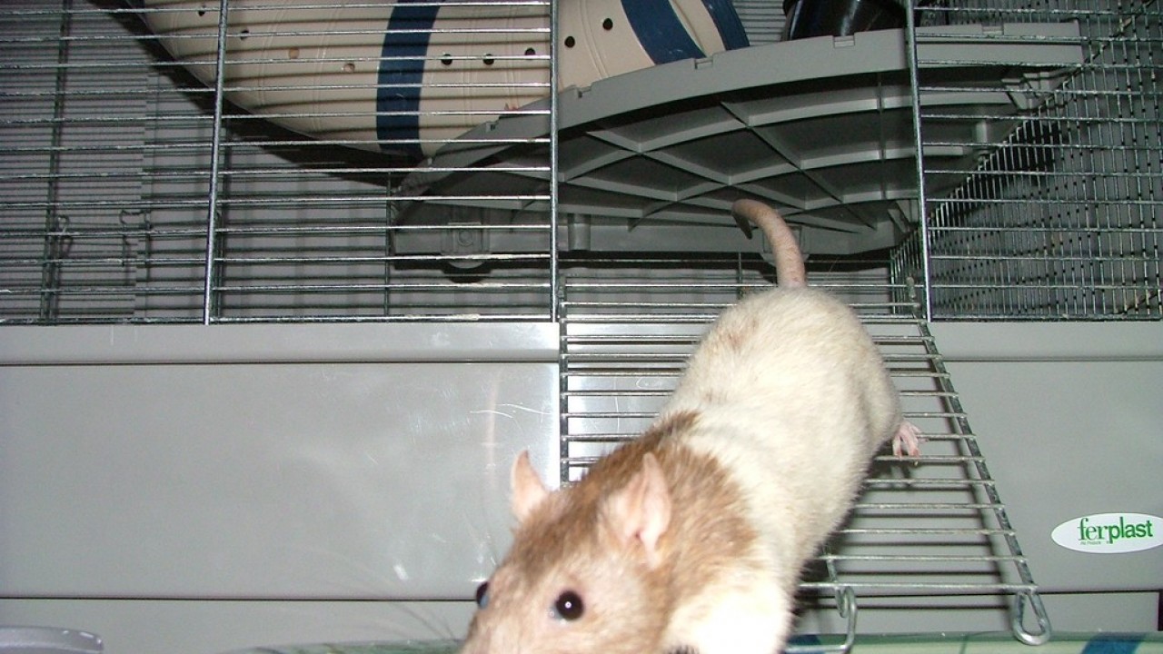DSCF3148.JPG