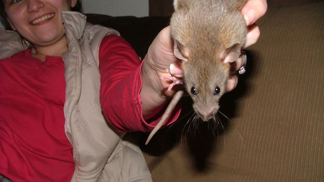 DSCF6640.JPG