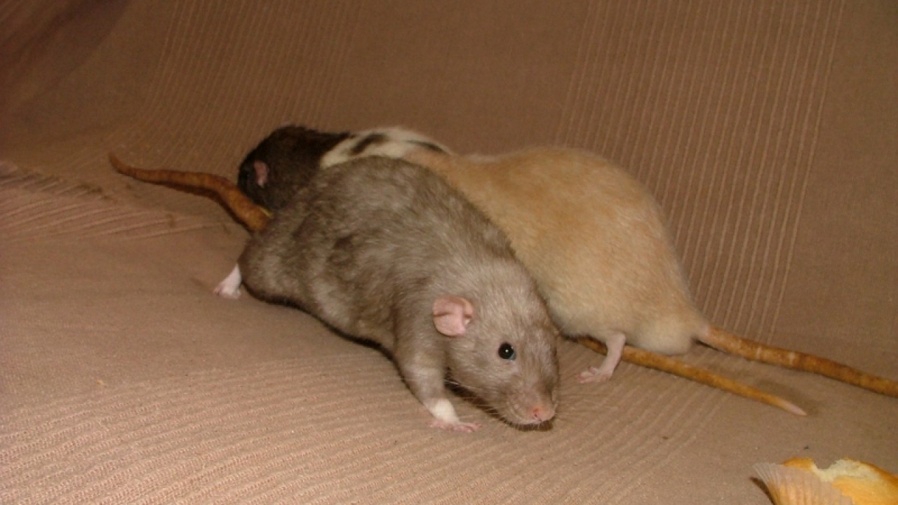 dscf6892.jpg