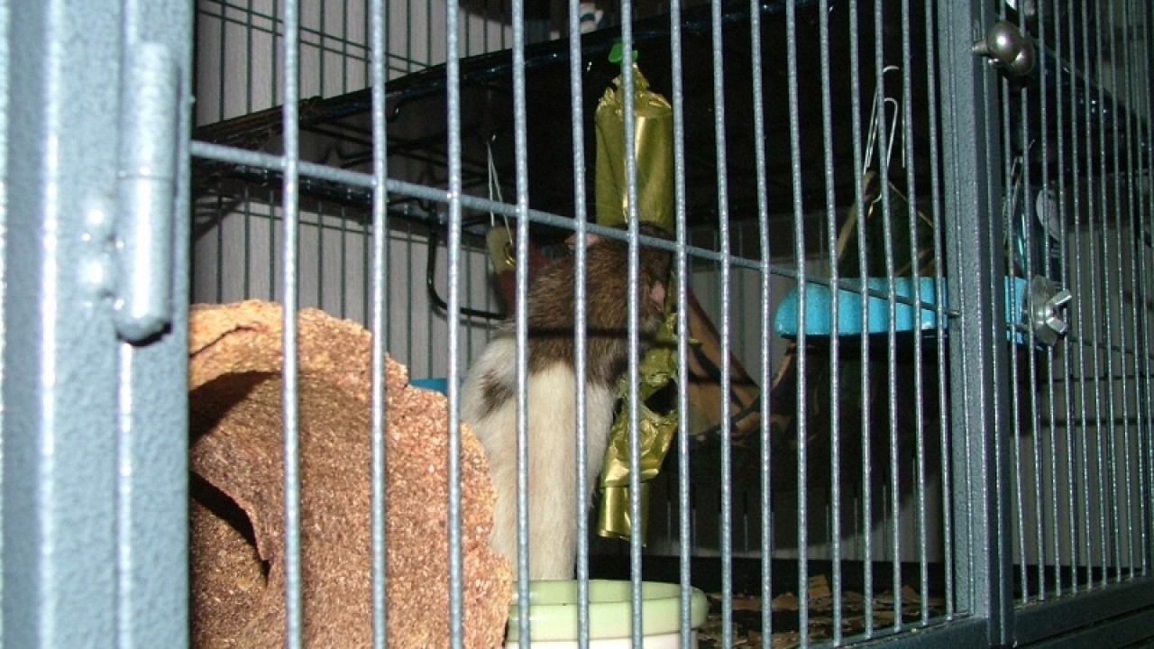 dscf6752.jpg
