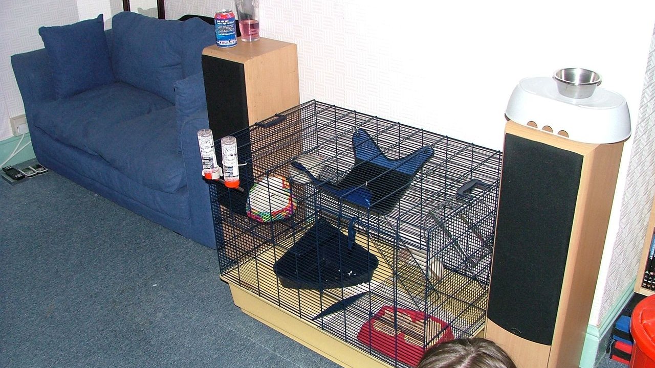 DSCF2697.JPG