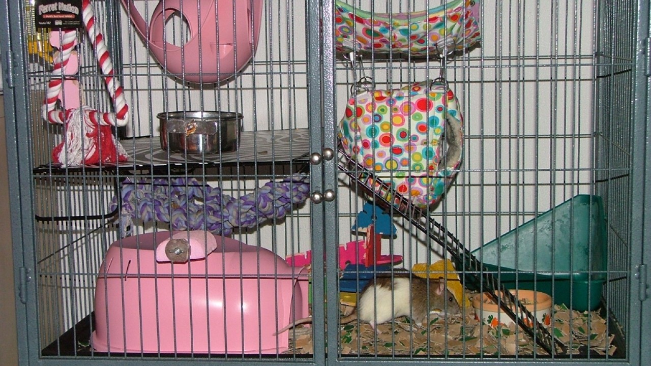 dscf6329.jpg