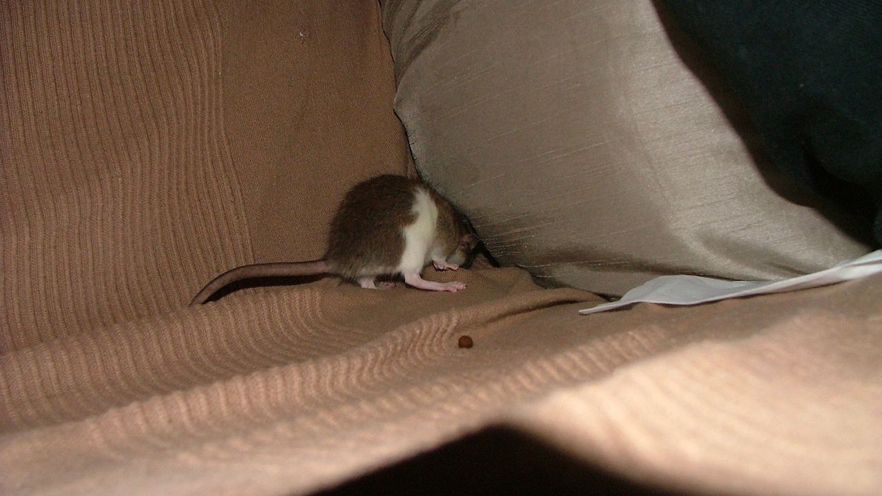 DSCF6653.JPG