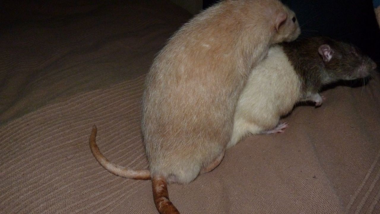 P1000377.JPG