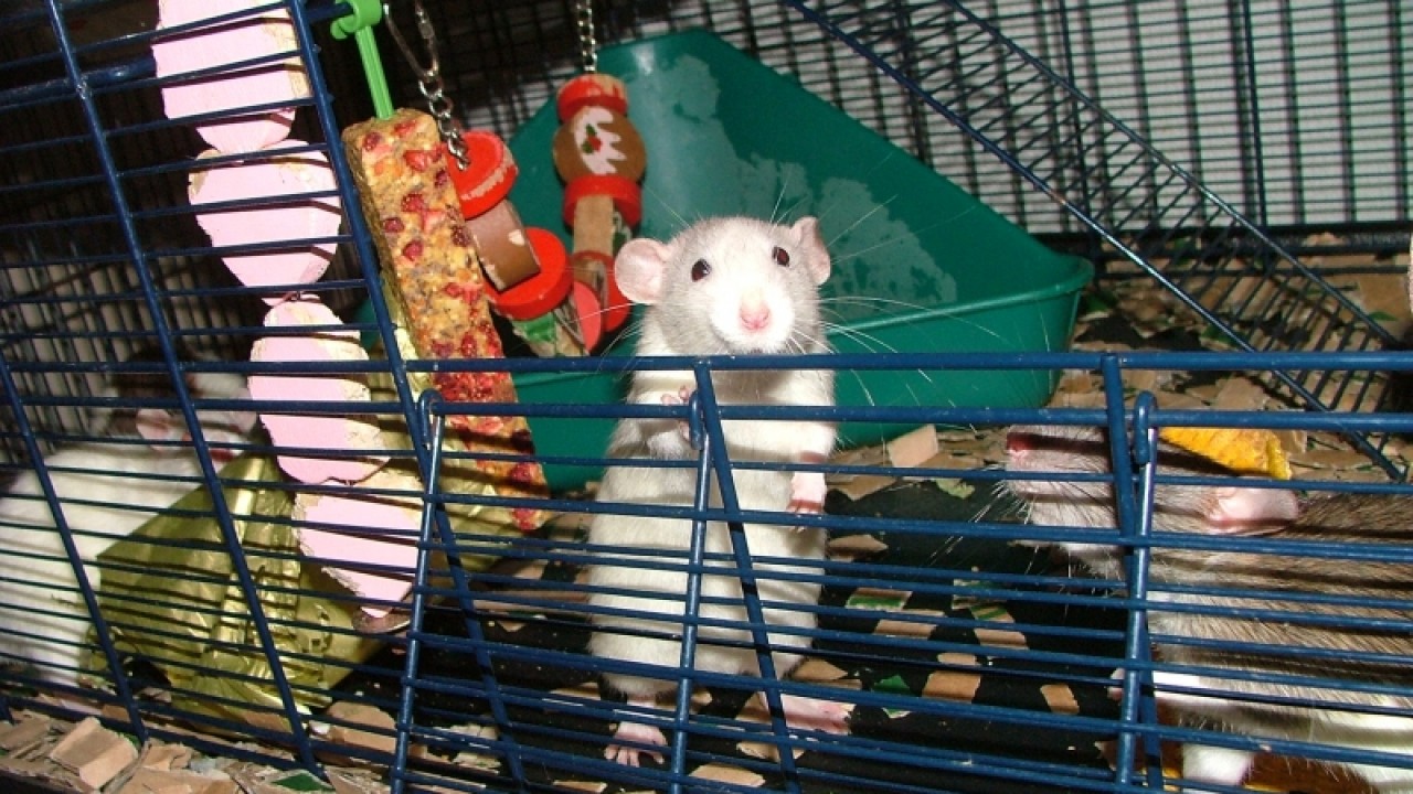 dscf6743.jpg