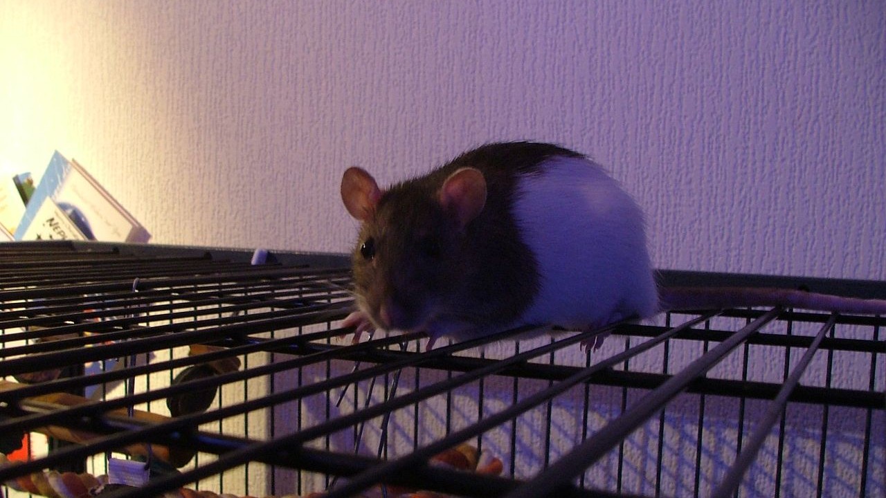 DSCF6700.JPG