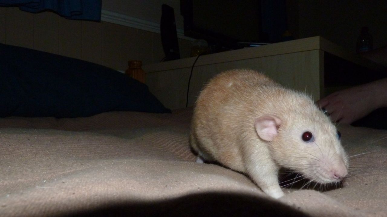 P1000372.JPG