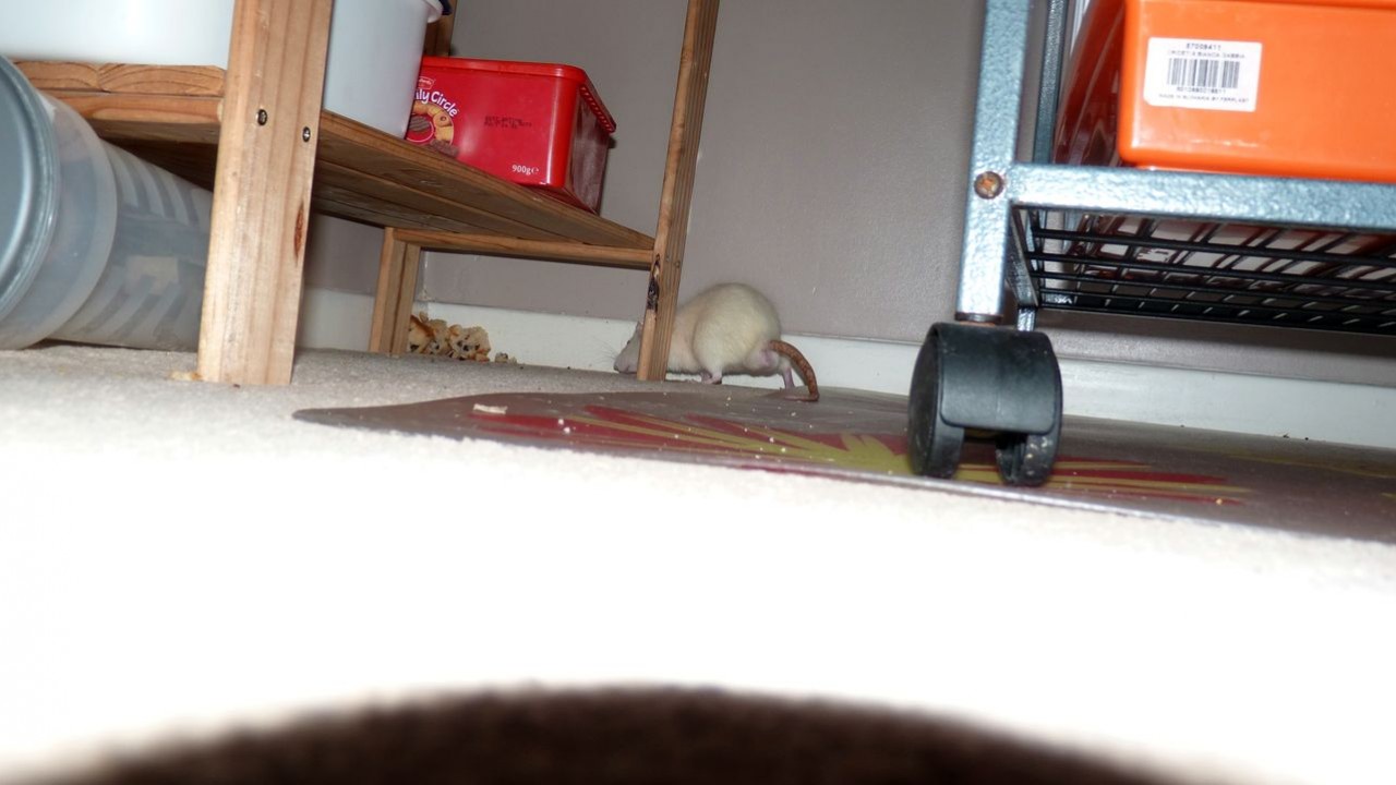 P1020357.JPG