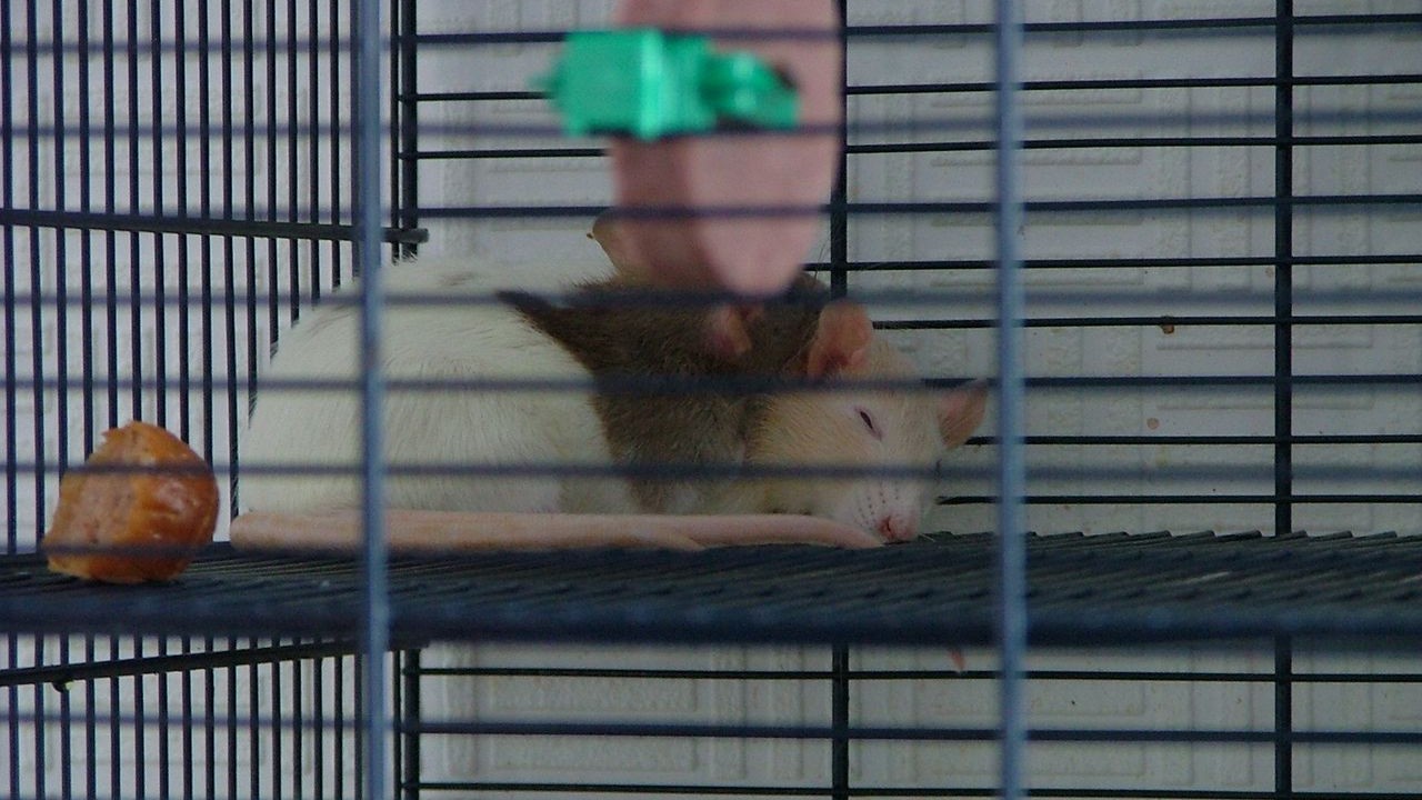 DSCF2139.JPG