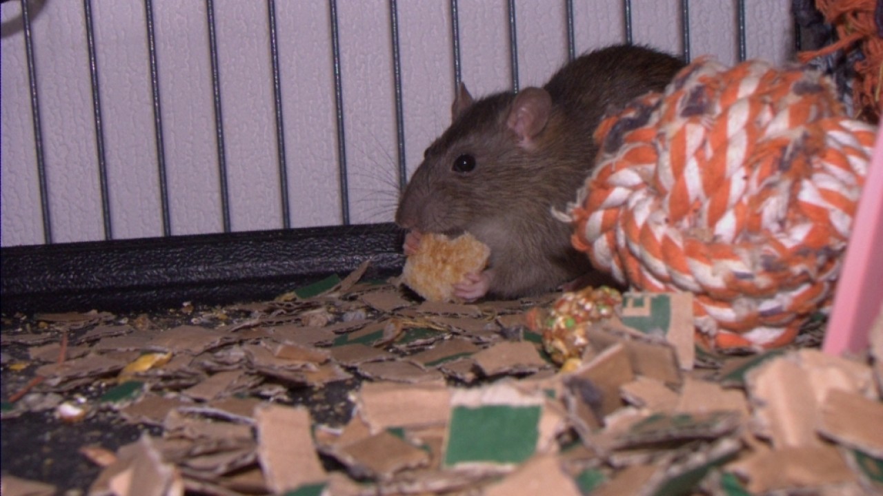 dscf6186.jpg