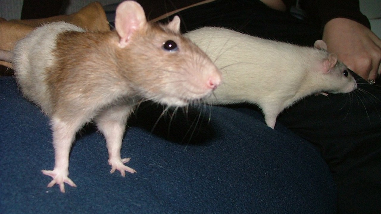 DSCF3949.JPG