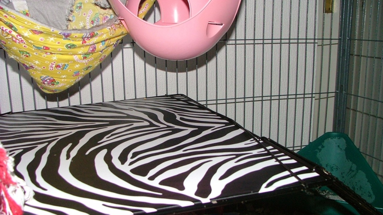 dscf6305.jpg