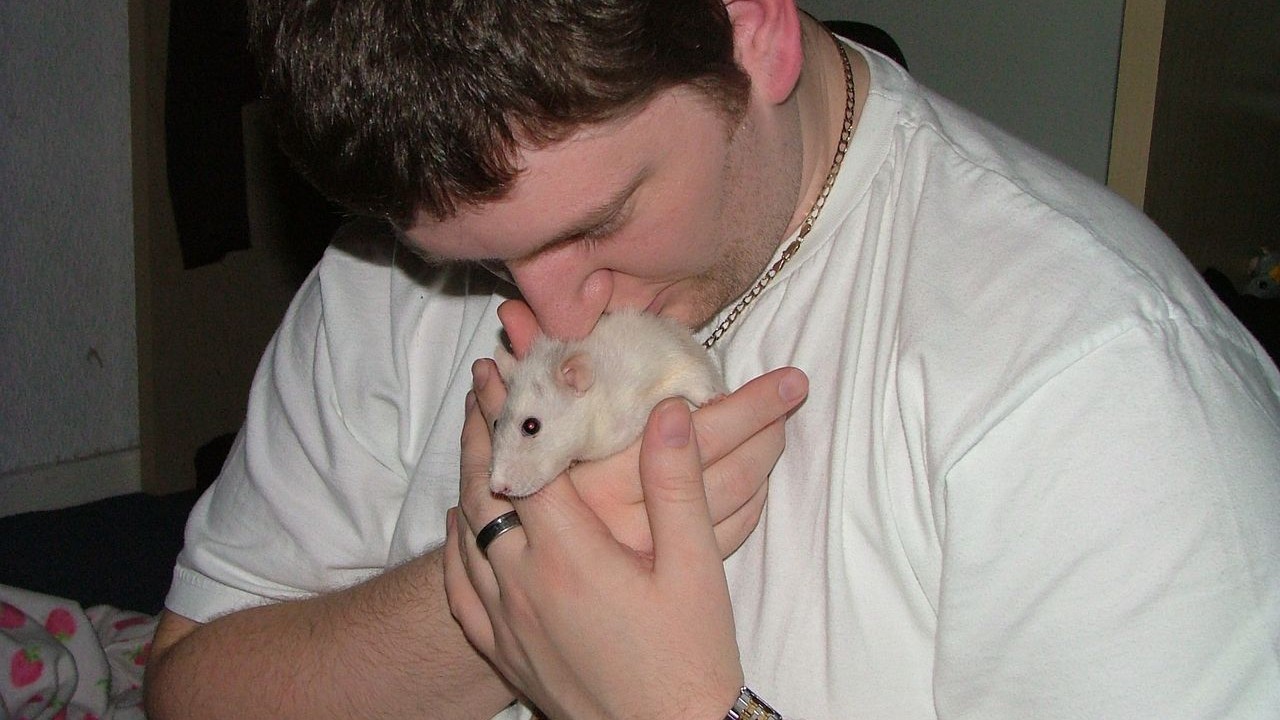 DSCF5678.JPG