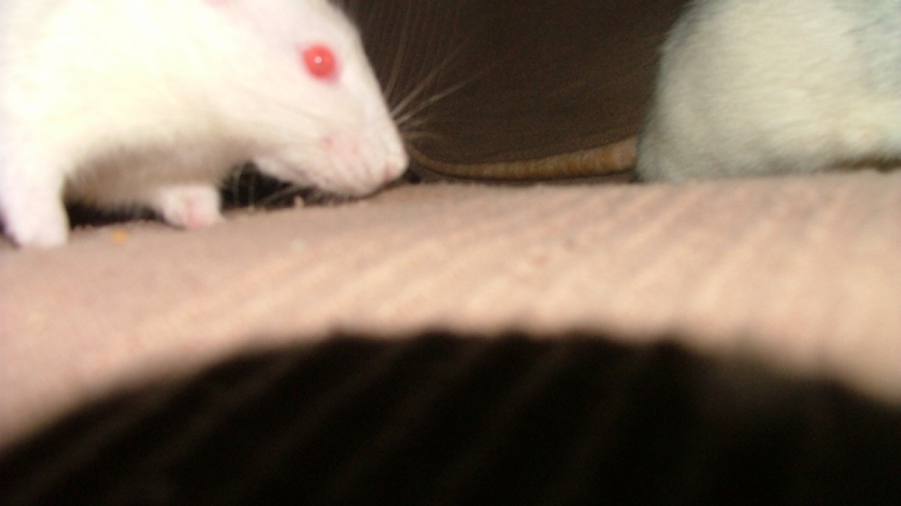 dscf6907.jpg