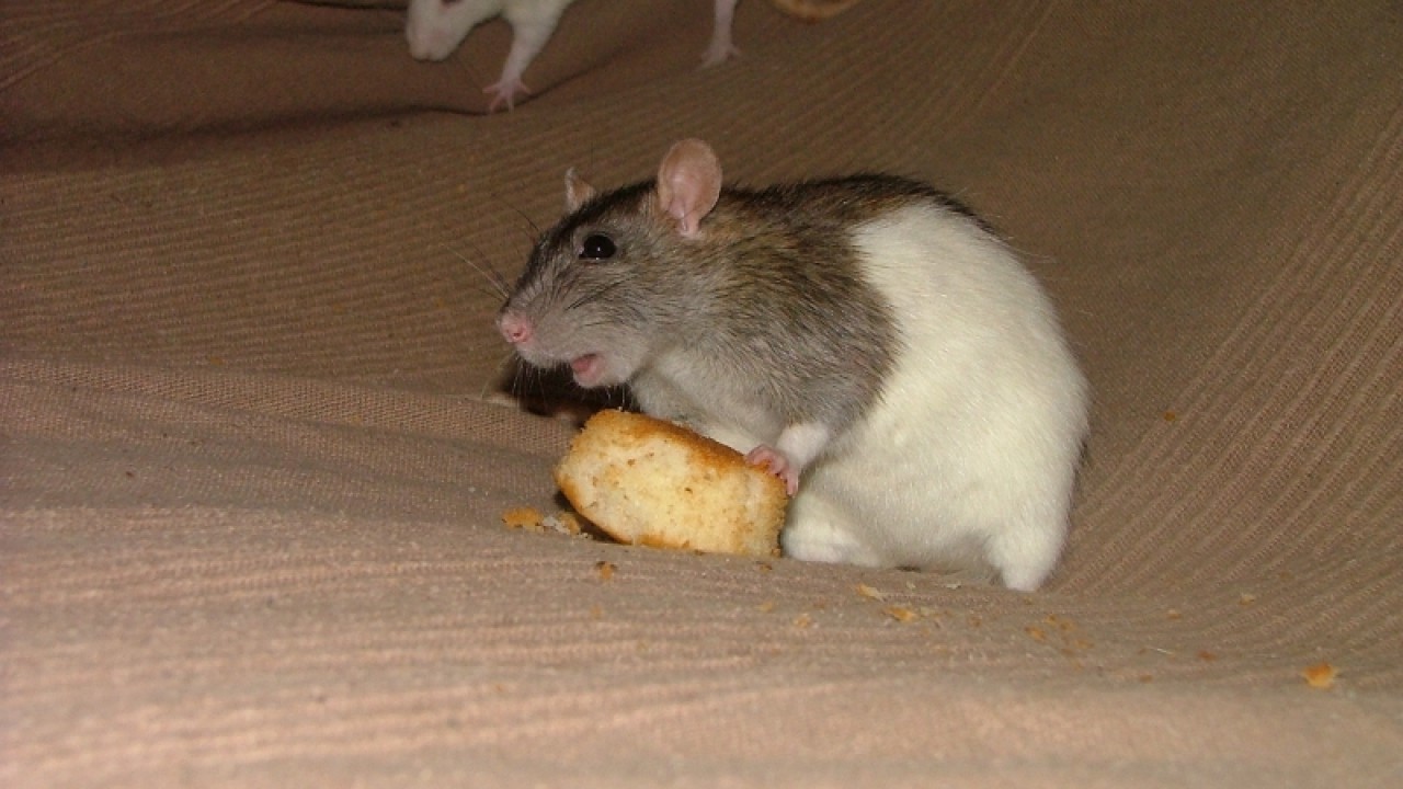 dscf6924.jpg