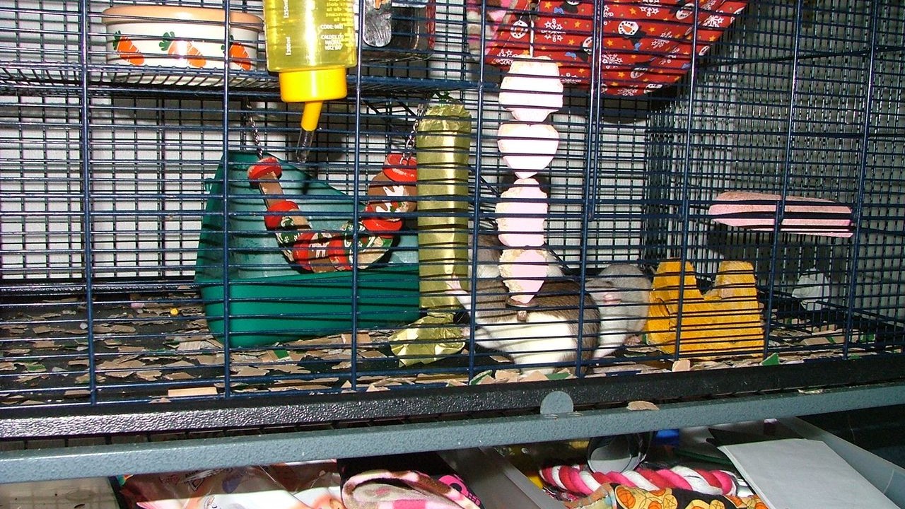 DSCF6730.JPG