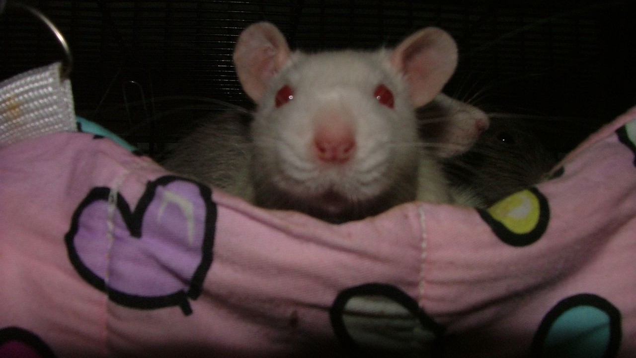 DSCF6691.JPG