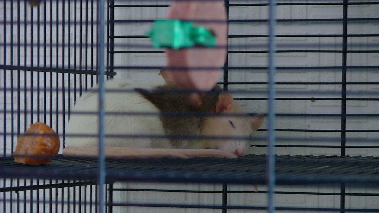 DSCF2138.JPG