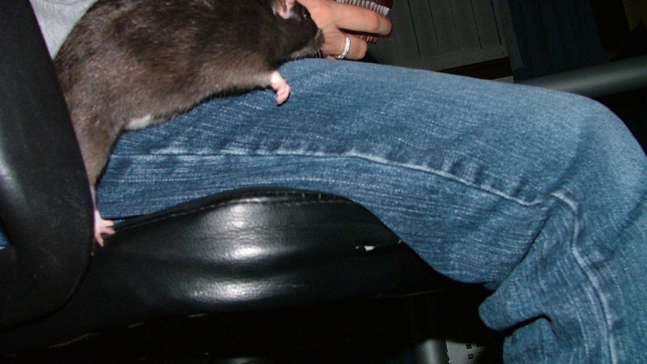 DSCF4108.JPG