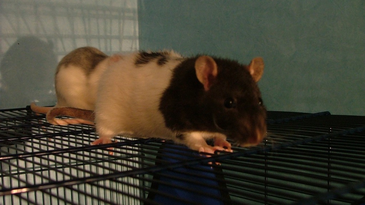 DSCF1538.JPG