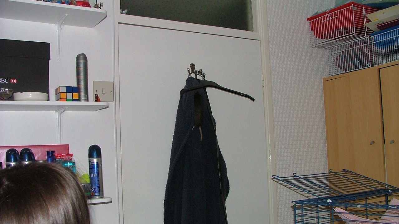DSCF3958.JPG