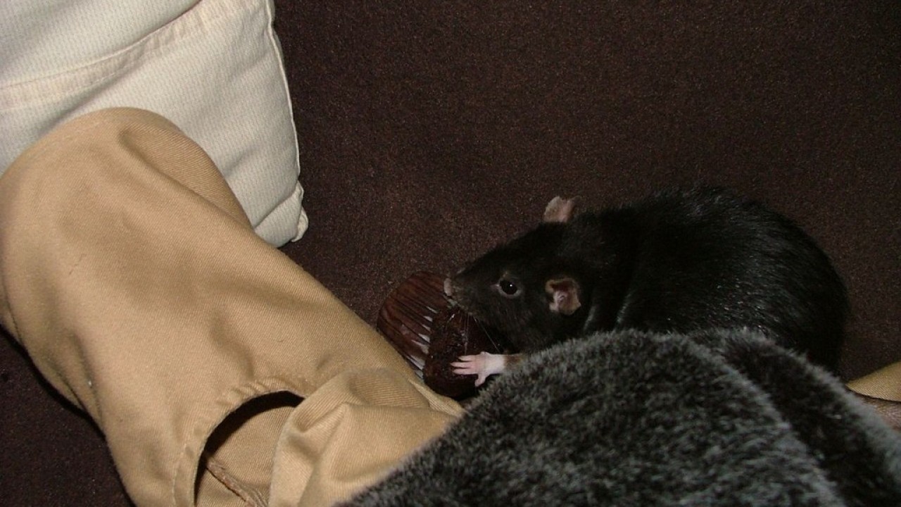 DSCF5535.JPG
