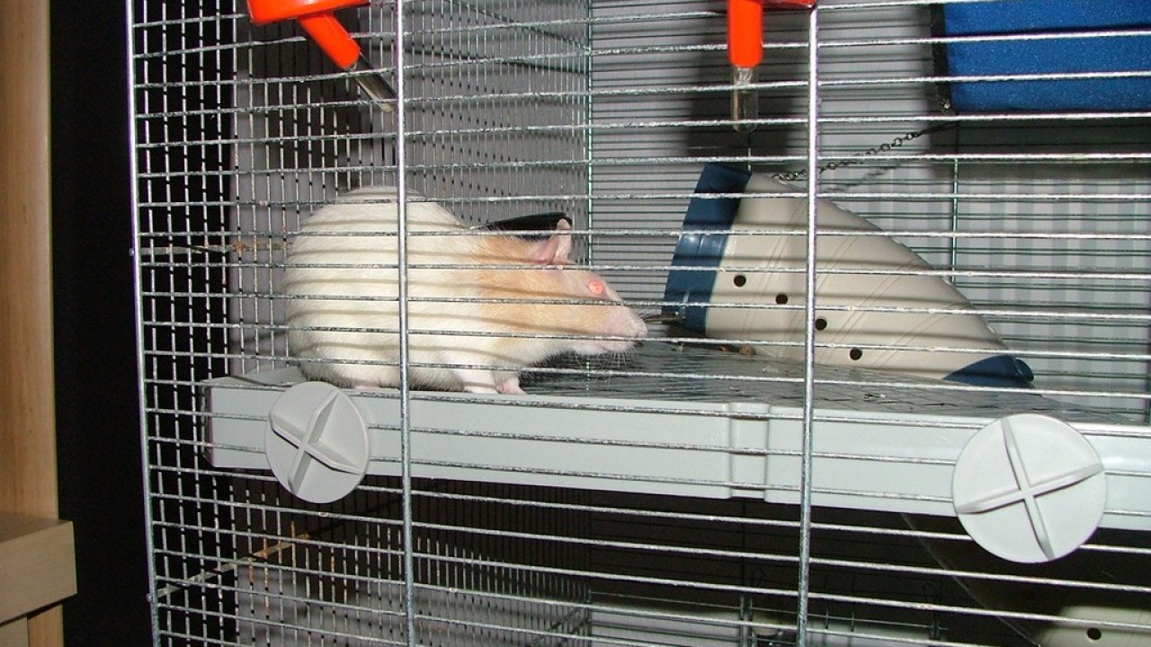 DSCF3147.JPG