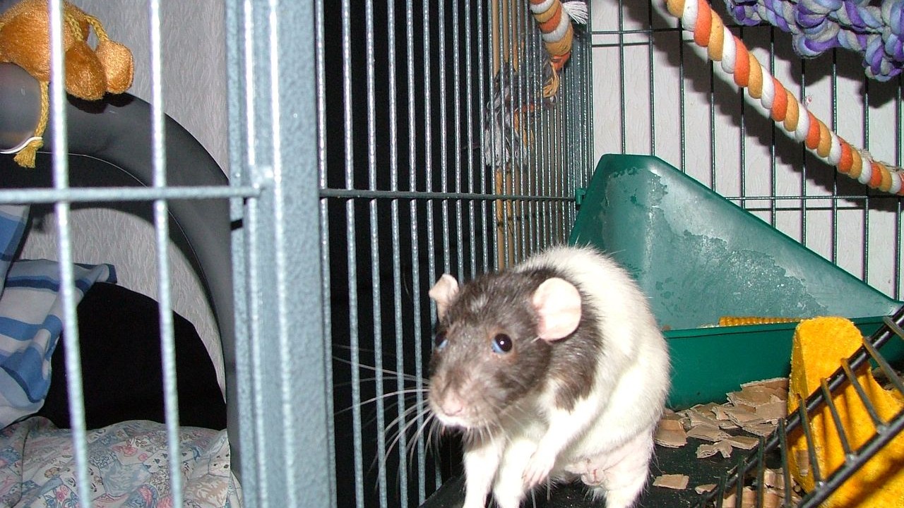 DSCF5704.JPG