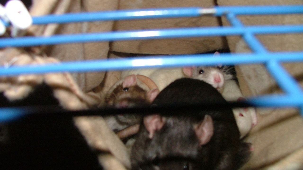 DSCF4015.JPG