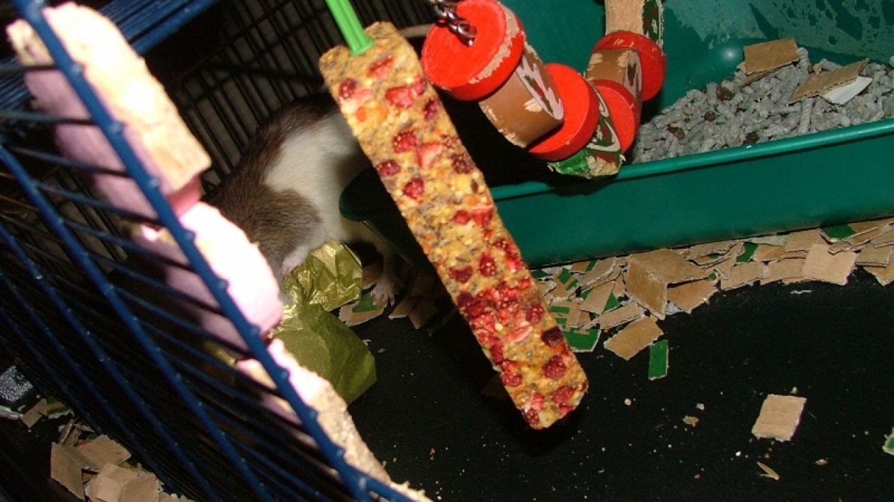 dscf6744.jpg