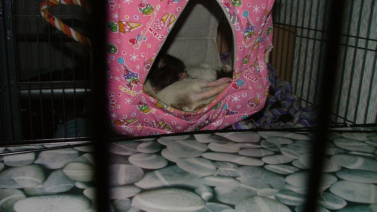 DSCF5706.JPG