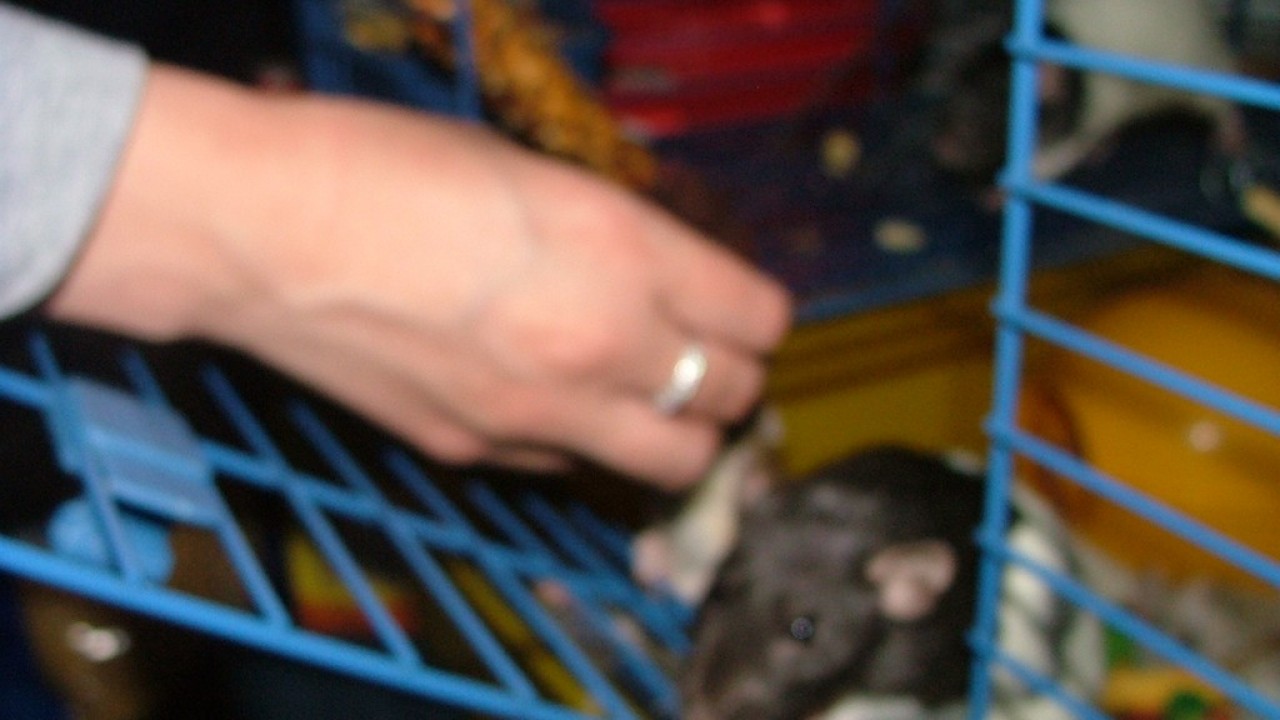 DSCF4112.JPG