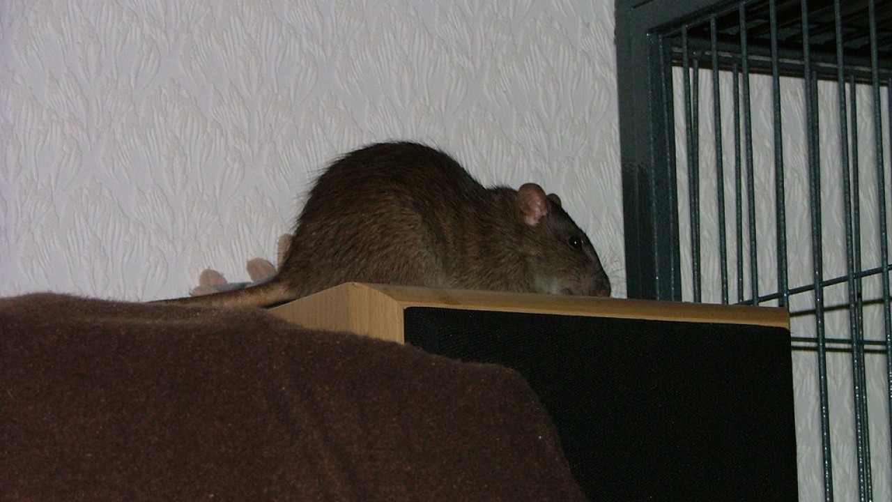 dscf6041.jpg