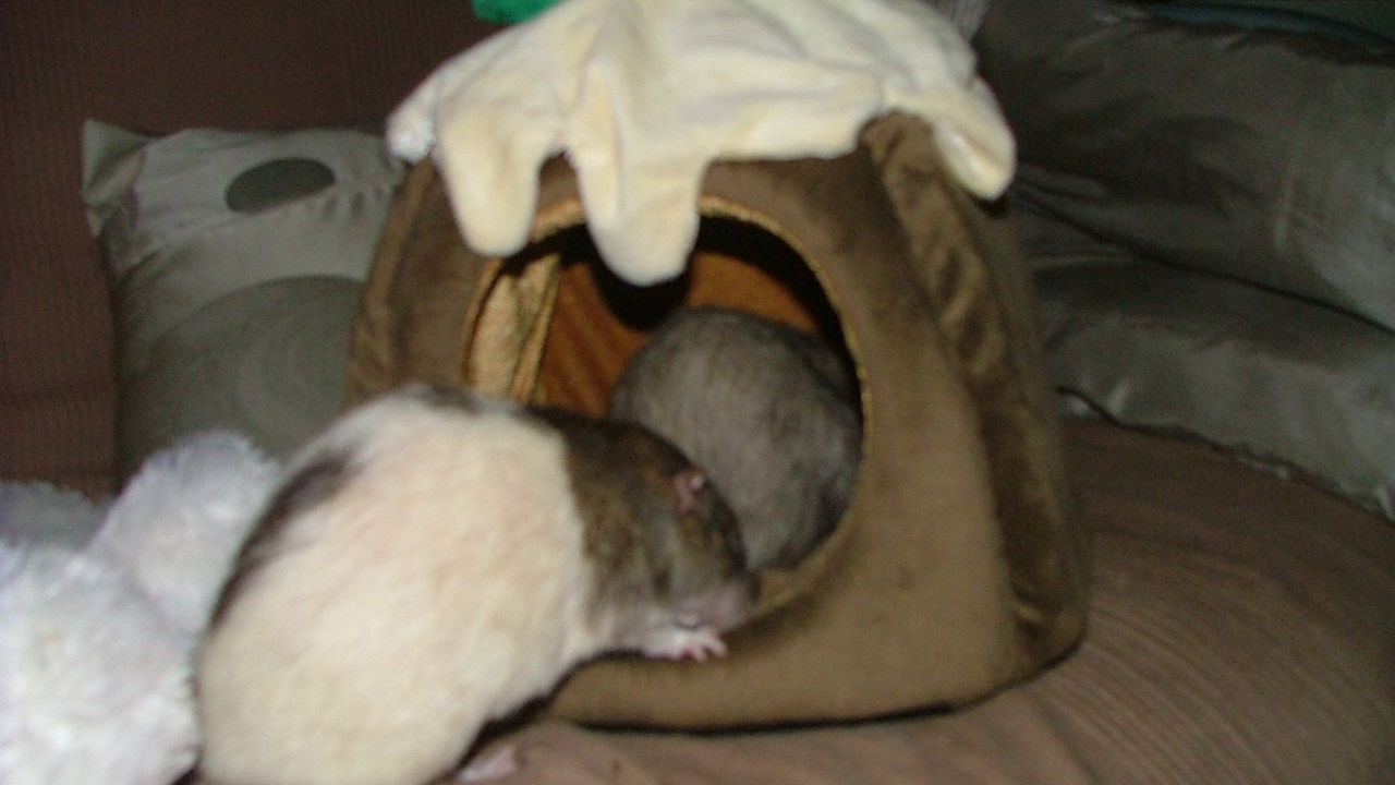 DSCF6716.JPG