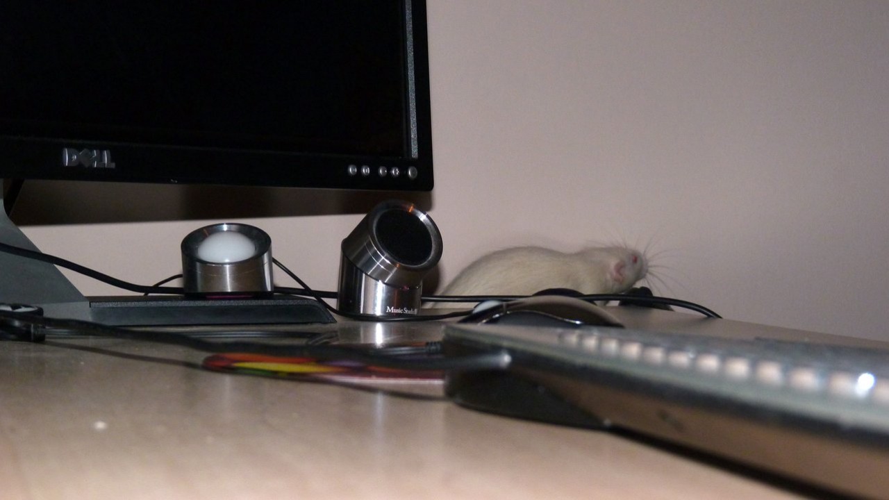 p1000882.jpg