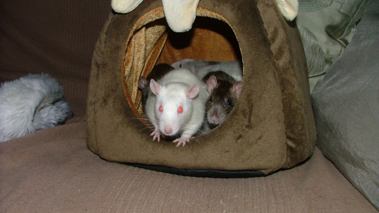 dscf6710.jpg