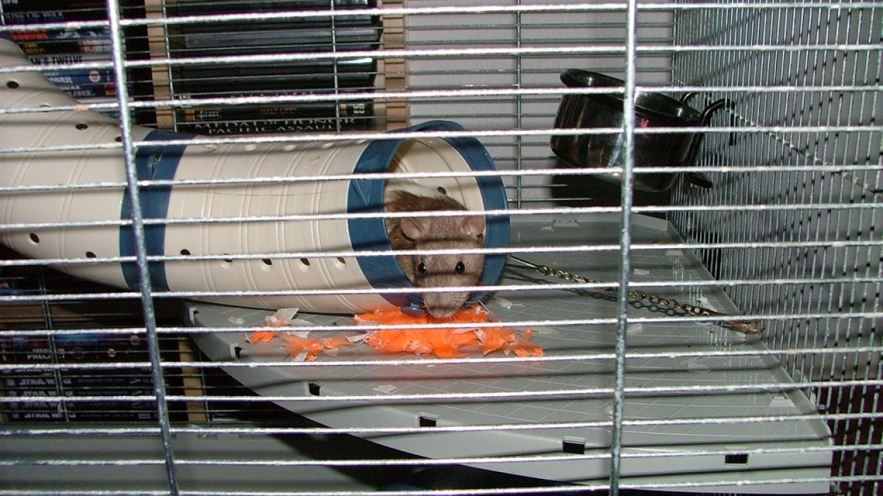DSCF3140.JPG