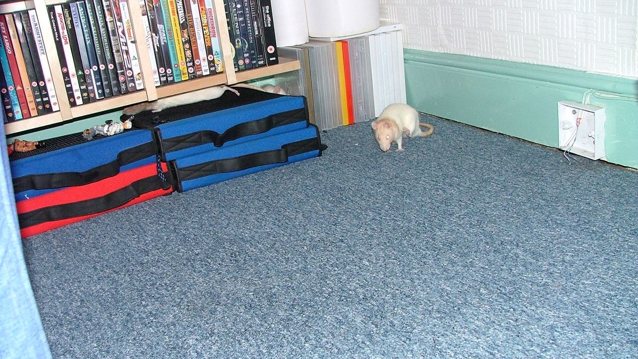 DSCF2656.JPG
